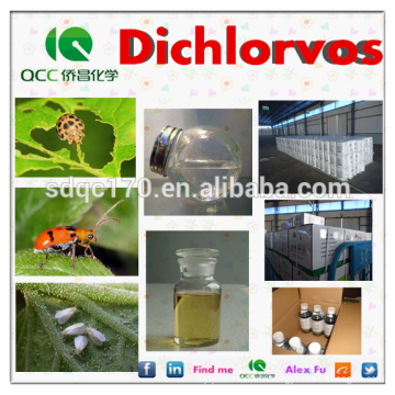 Agrochimique / insecticide efficace Dichlorvos / DDVP 95% TC 50% EC 80% EC 50% SC CAS 62-73-7